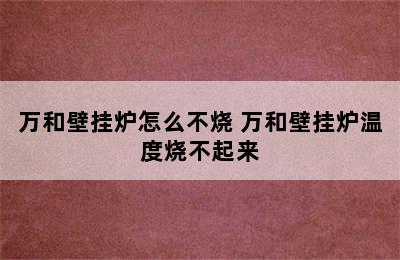 万和壁挂炉怎么不烧 万和壁挂炉温度烧不起来